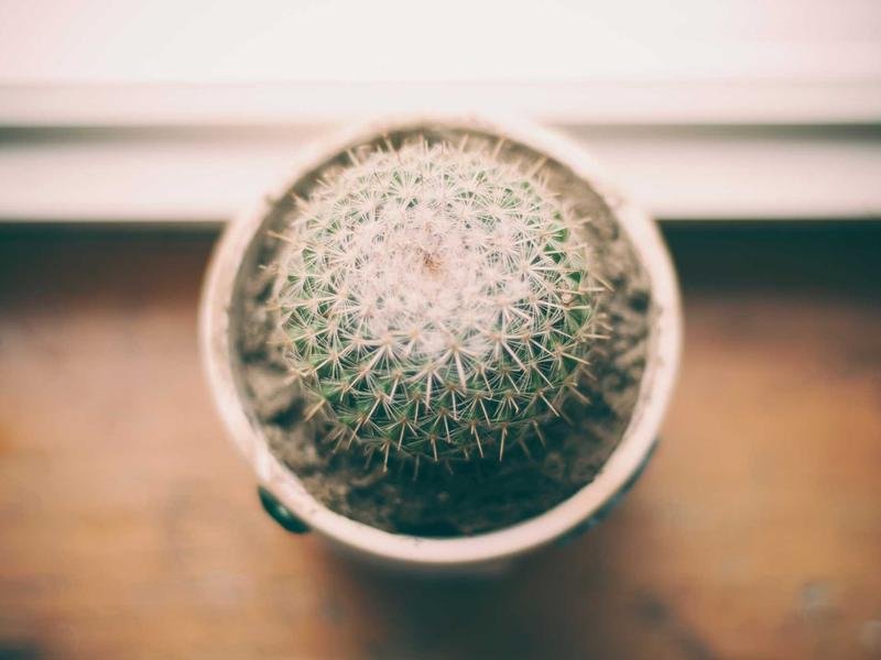 Microphone Rack Mount